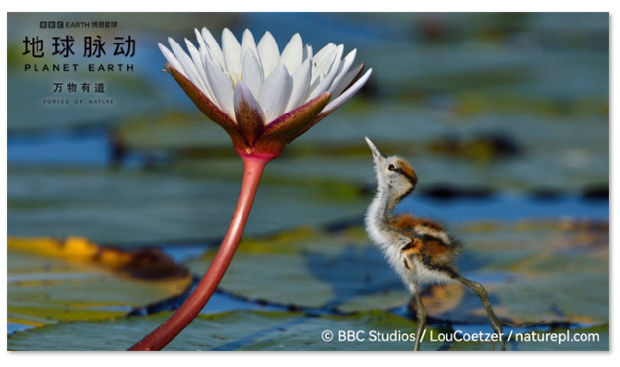 1758080824432268.png image.png